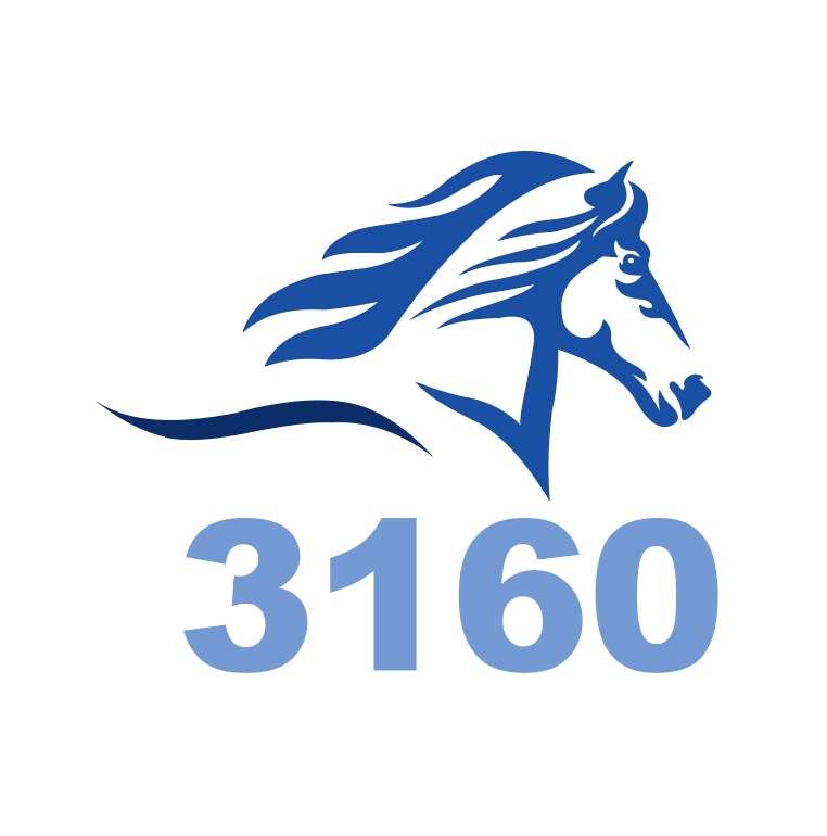 le3160